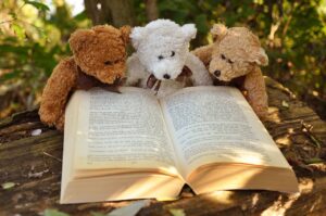 teddy bear, teddy, bear-2855982.jpg